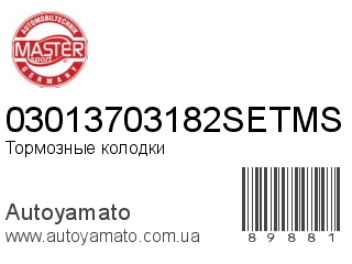 03013703182SETMS (MASTER SPORT)